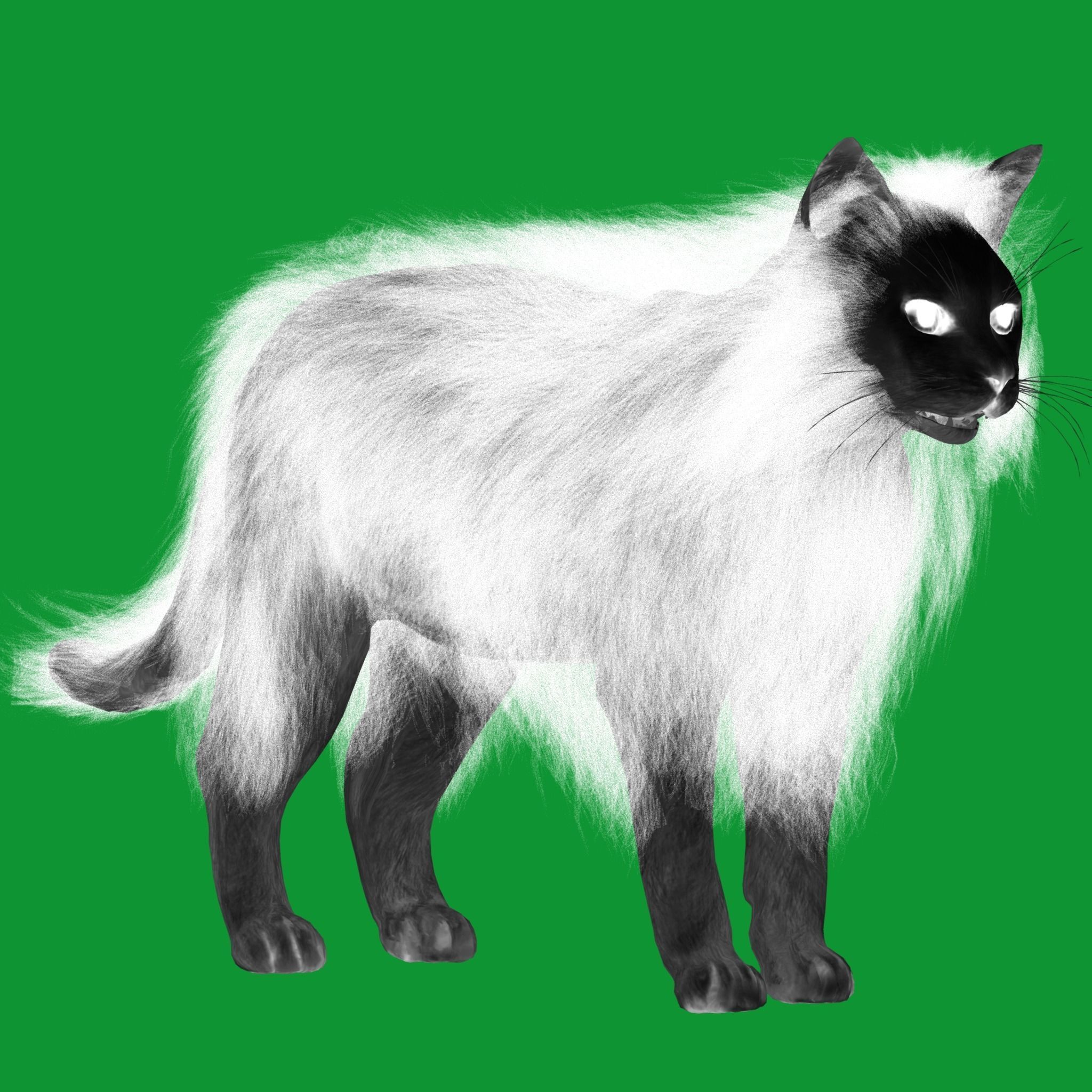 White House Cat Low-poly 3D model_36