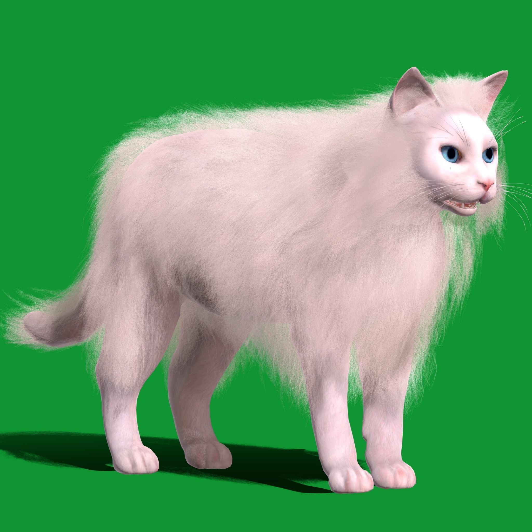 White House Cat Low-poly 3D model_35
