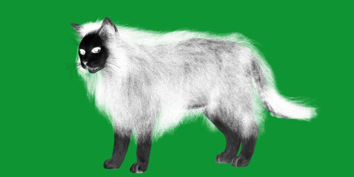 White House Cat Low-poly 3D model_43