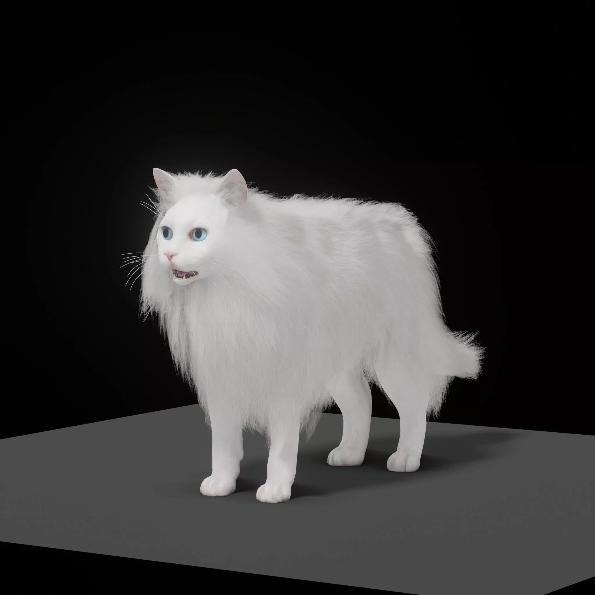 White House Cat Low-poly 3D model_0