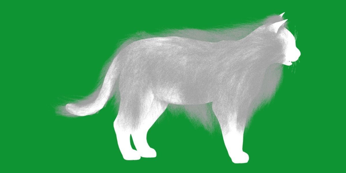 White House Cat Low-poly 3D model_40