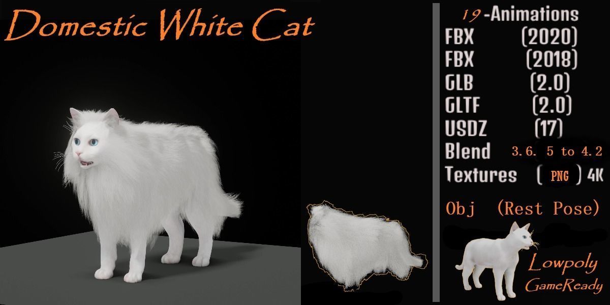 White House Cat Low-poly 3D model_2
