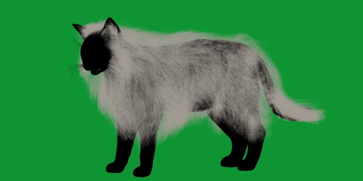 White House Cat Low-poly 3D model_20