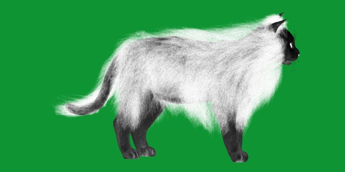 White House Cat Low-poly 3D model_42