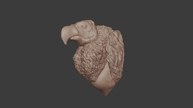 Vulture head wall mount stl 3D print model