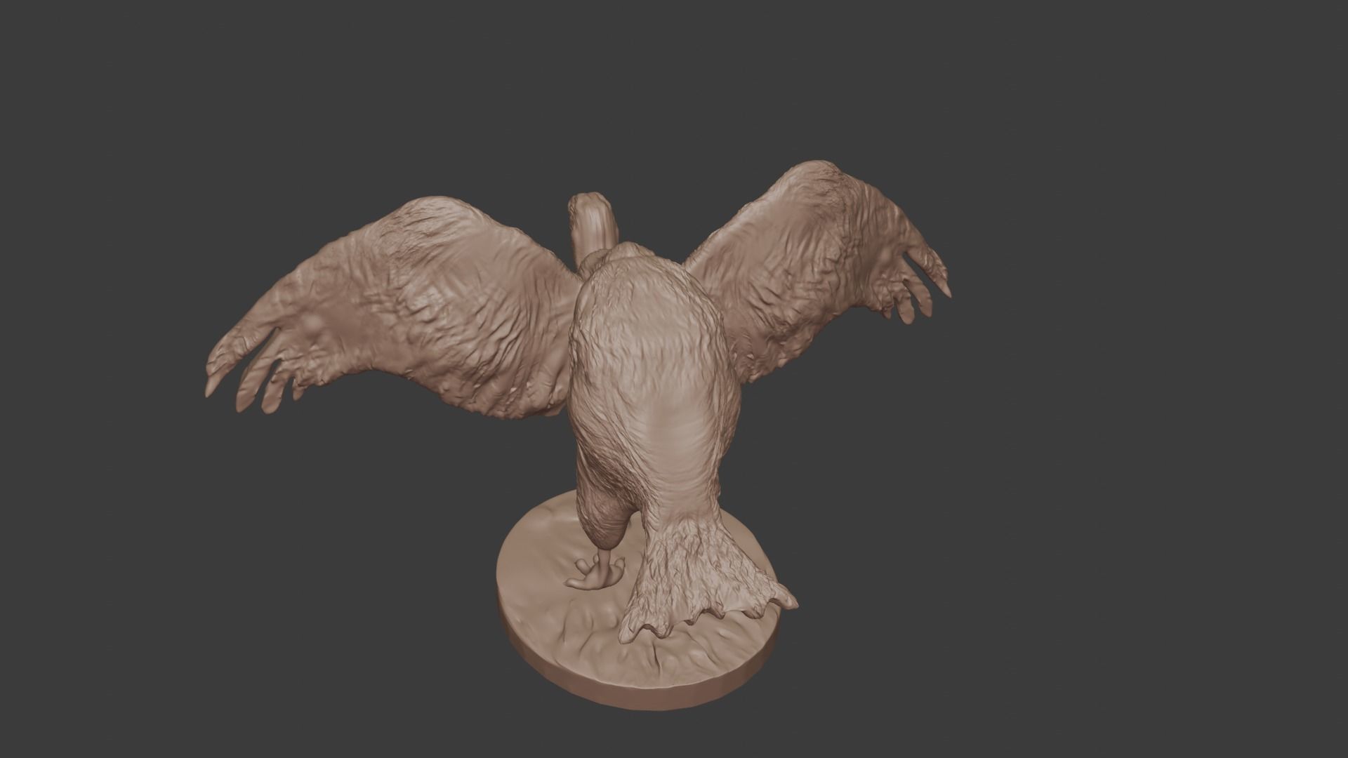 Vulture wings spread out stl 3D print model_4