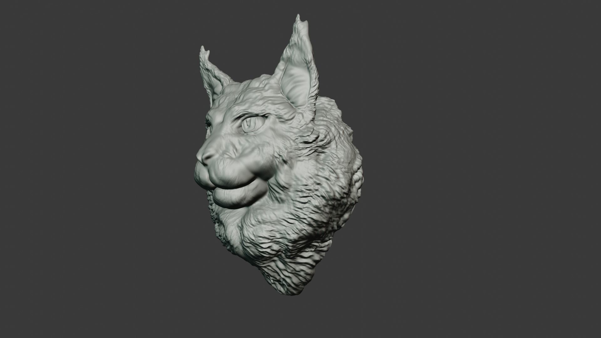 Maine coon head wall mount stl 3D print model_1