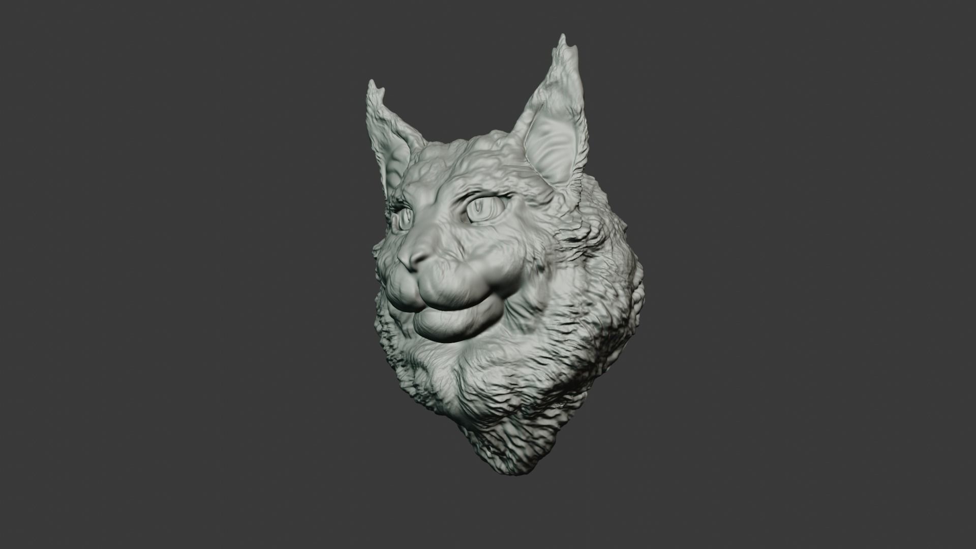 Maine coon head wall mount stl 3D print model_5