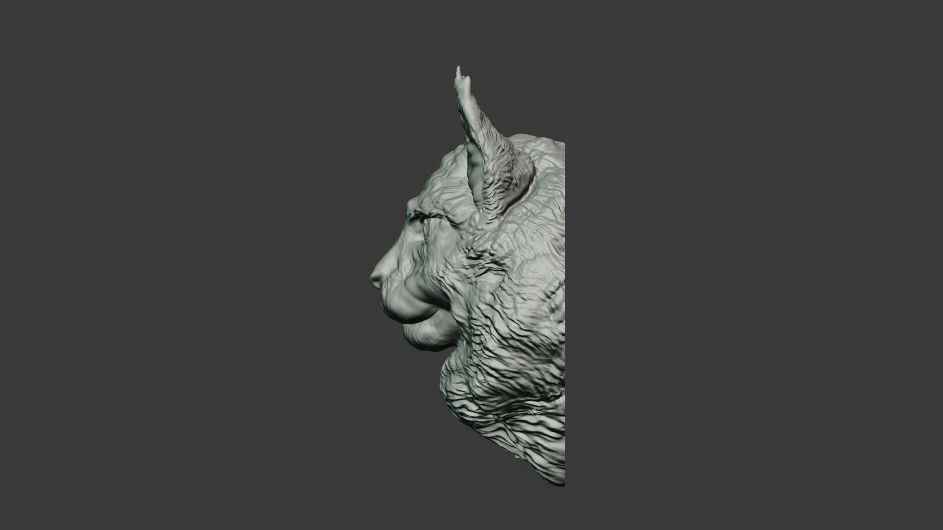 Maine coon head wall mount stl 3D print model_2