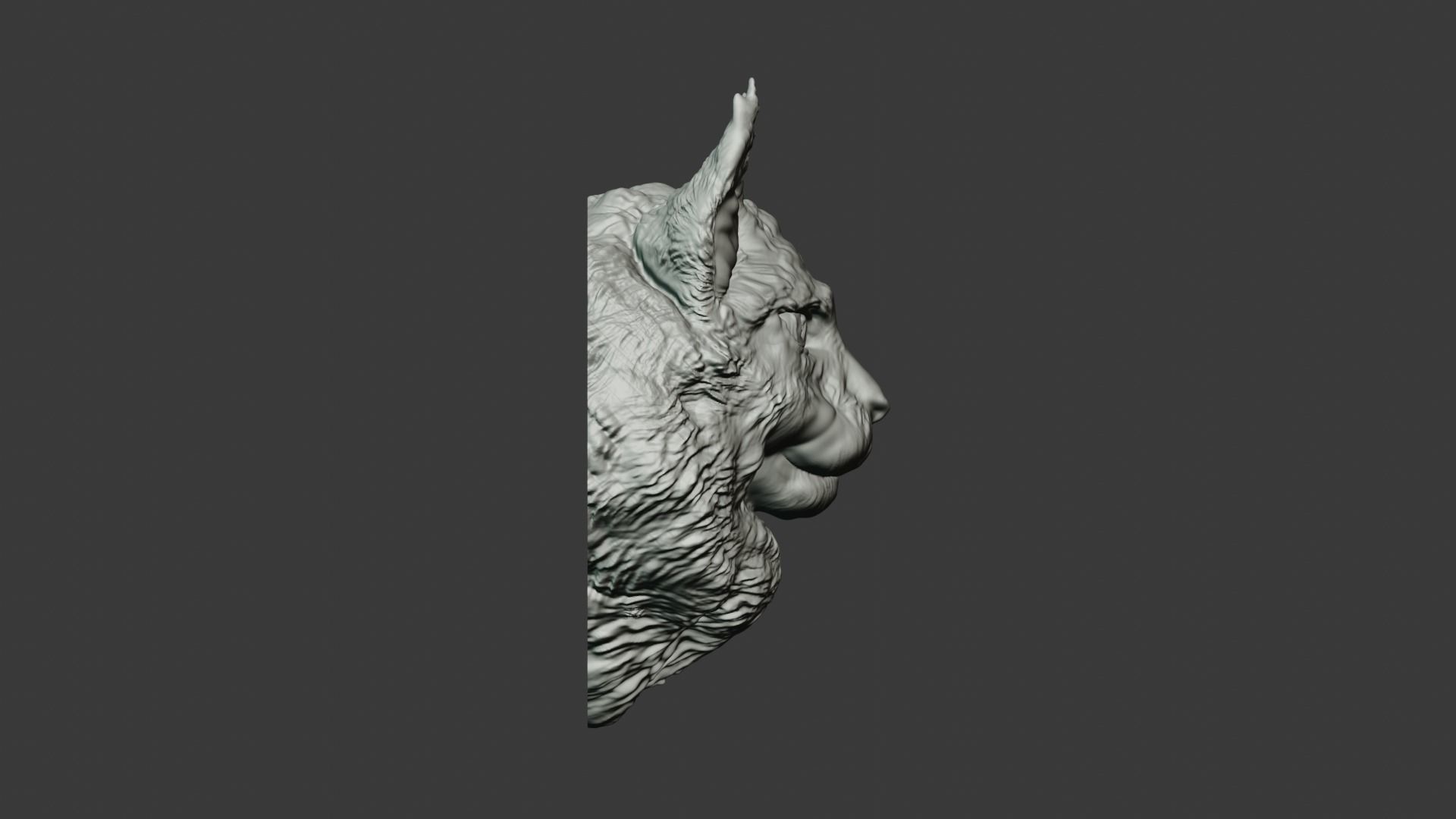 Maine coon head wall mount stl 3D print model_3