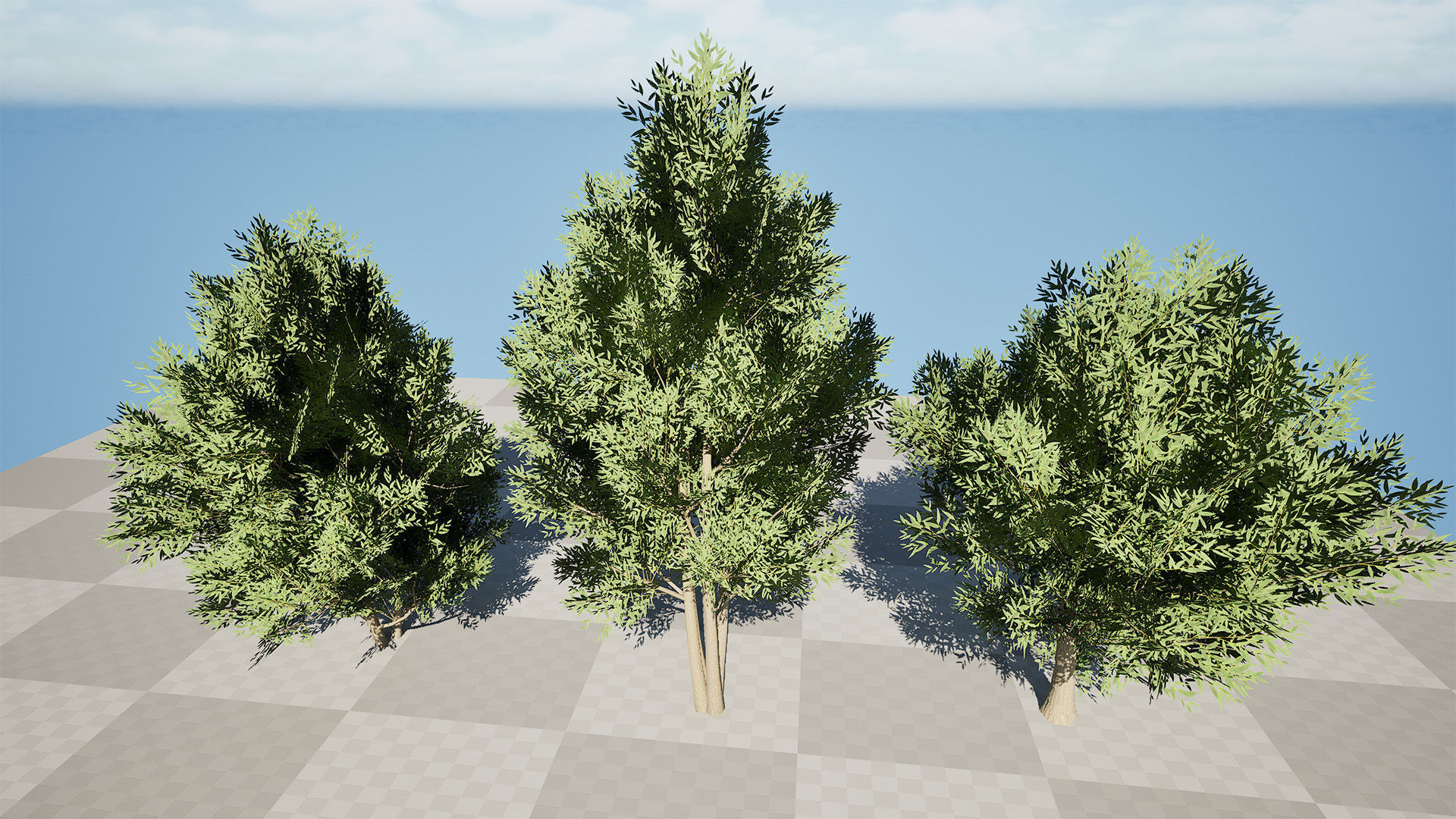 Low Poly Salix Alba Trees Low-poly 3D model_5