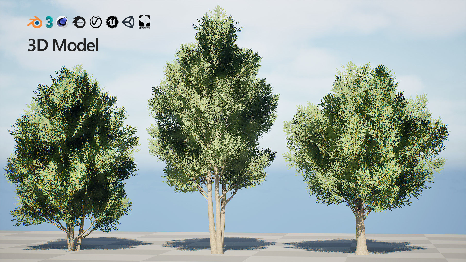 Low Poly Salix Alba Trees Low-poly 3D model_3