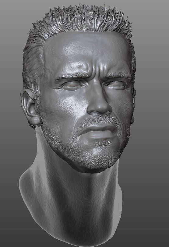 Alan Dutch - Arnold Schwarzenegger custom head 3D print model_3