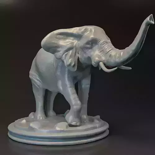 Elephant
