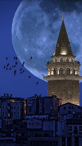 Galata Tower  3D model 2