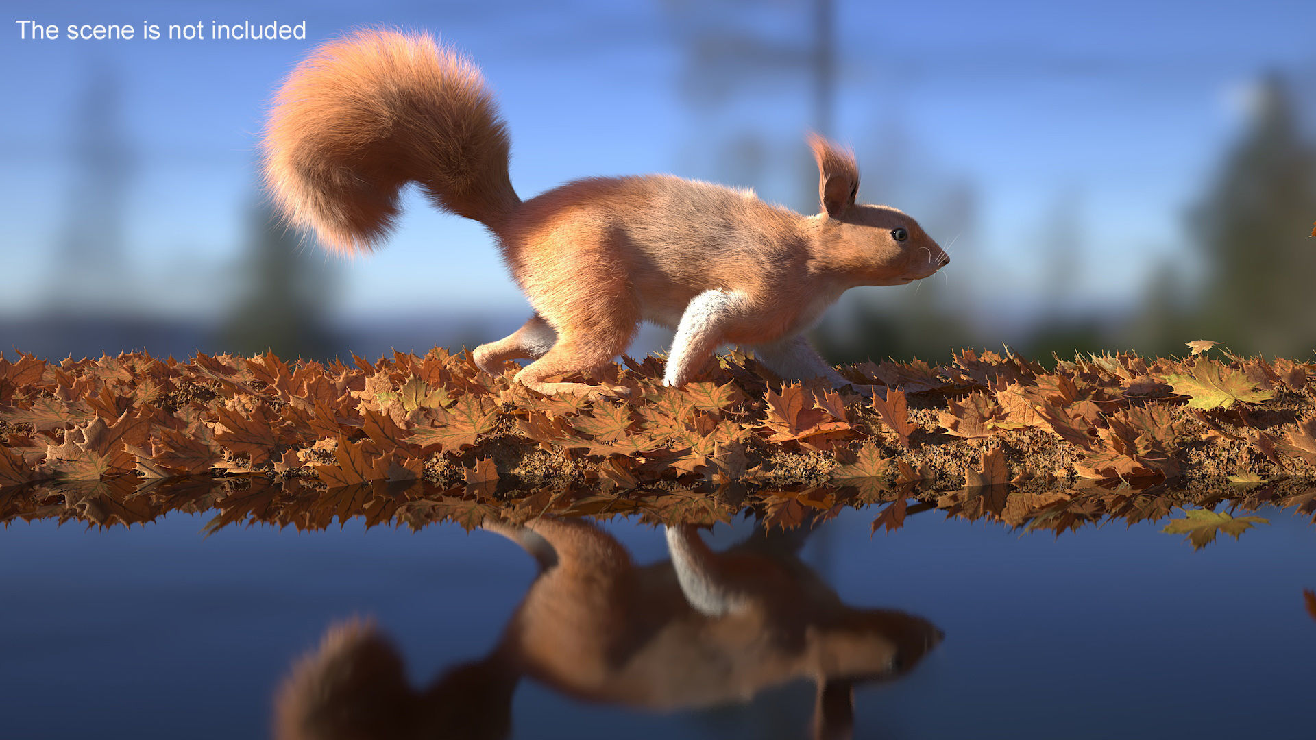 Red Squirrel Fur Rigged 3D model
