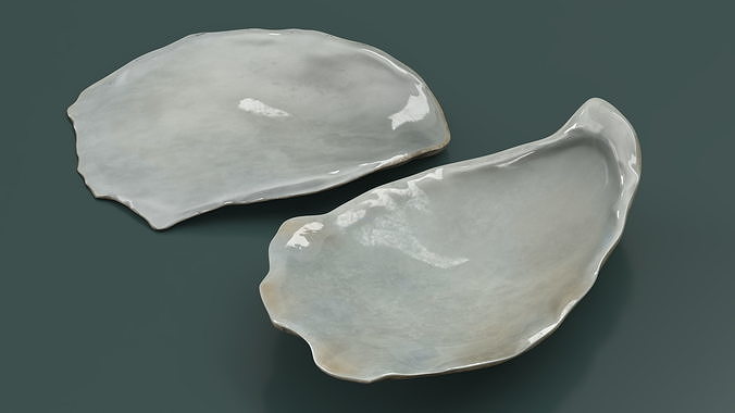 Closed Oyster 3D model 4
