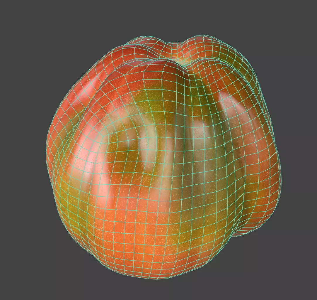 Tomato 3D model_6