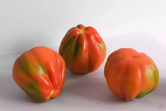 Tomato 3D model