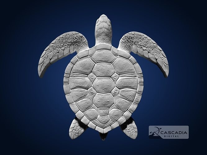 Sea Turtle CNC Router Carving Casting Bas Relief animal wildlife 3D print model
