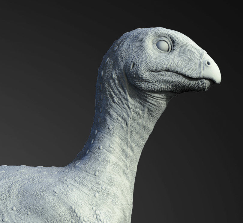 Hypsilophodon 3D print model_1