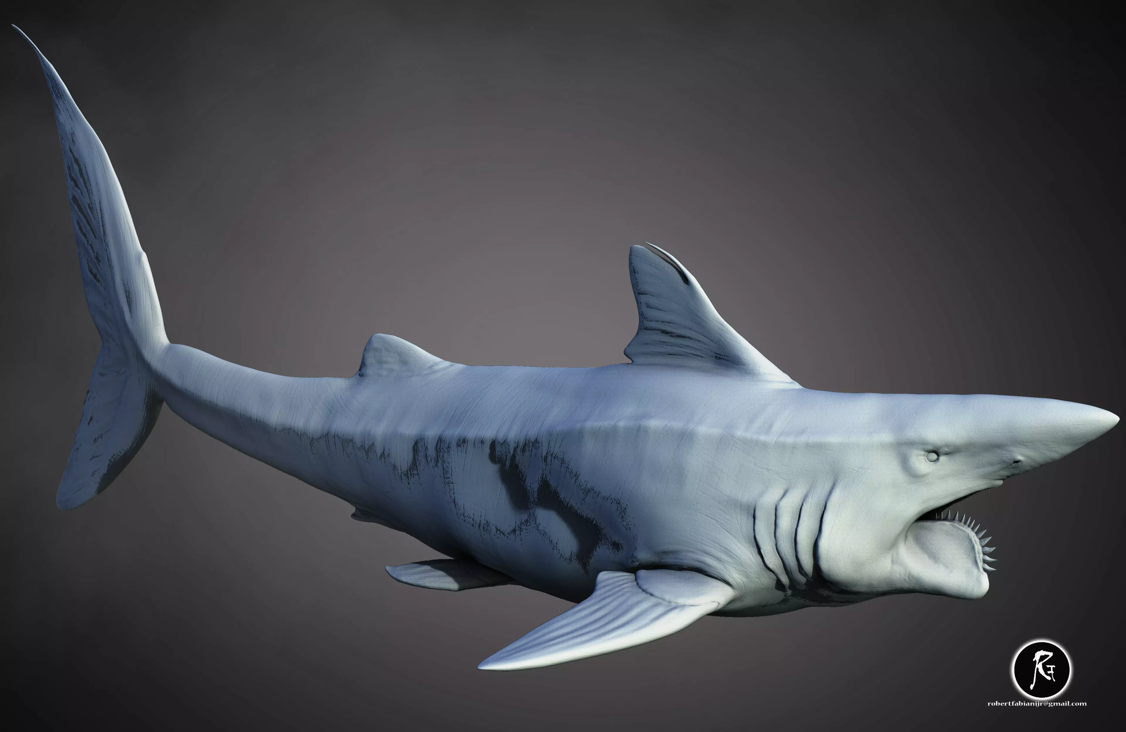 Helicoprion 3D print model_2