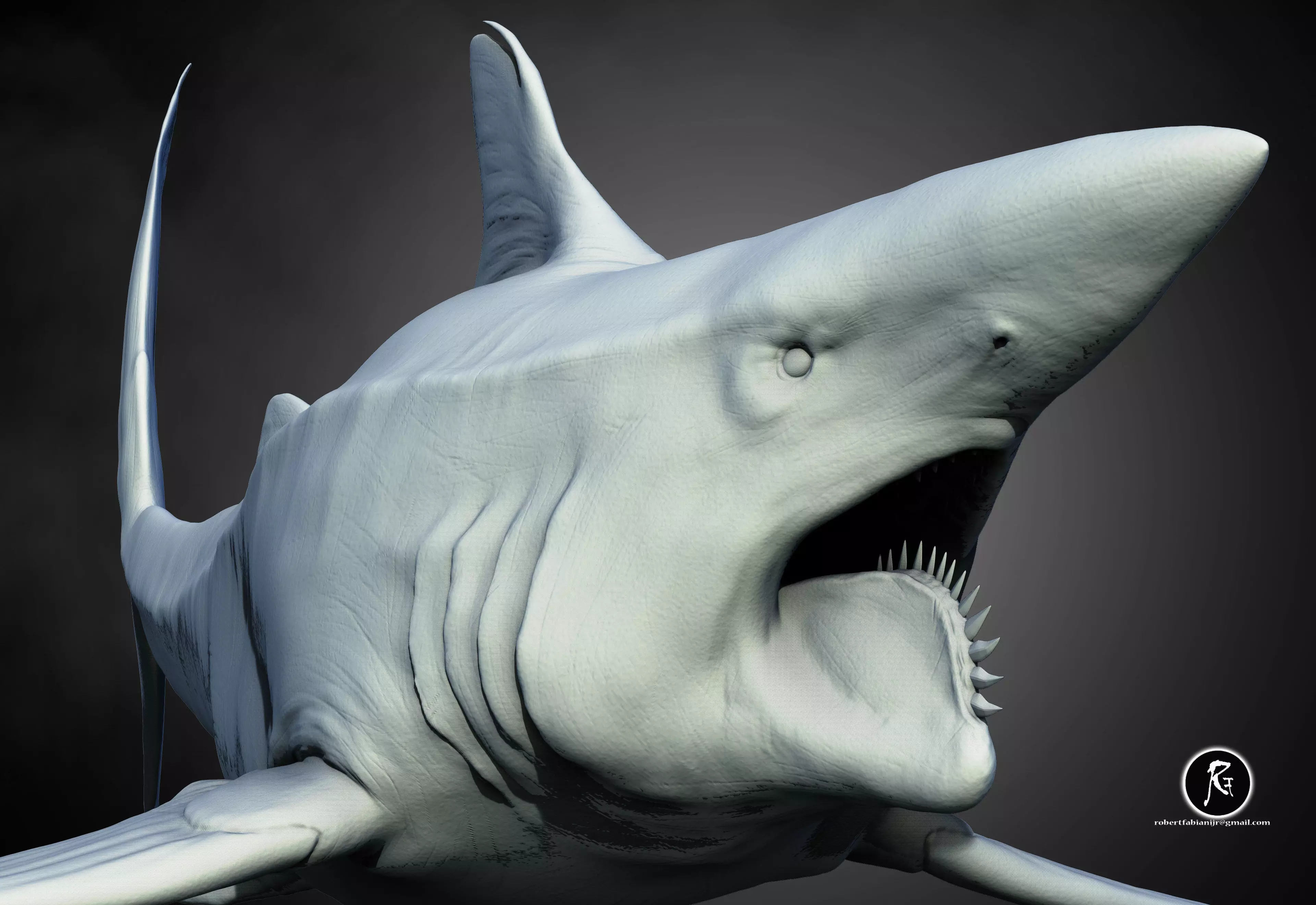 Helicoprion 3D print model_0