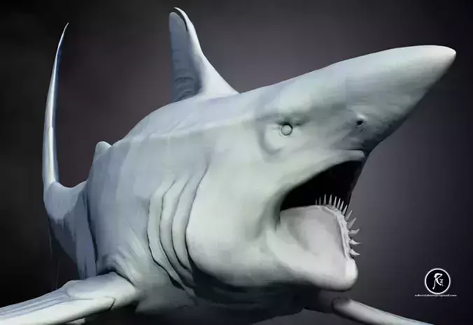 Helicoprion 3D print model