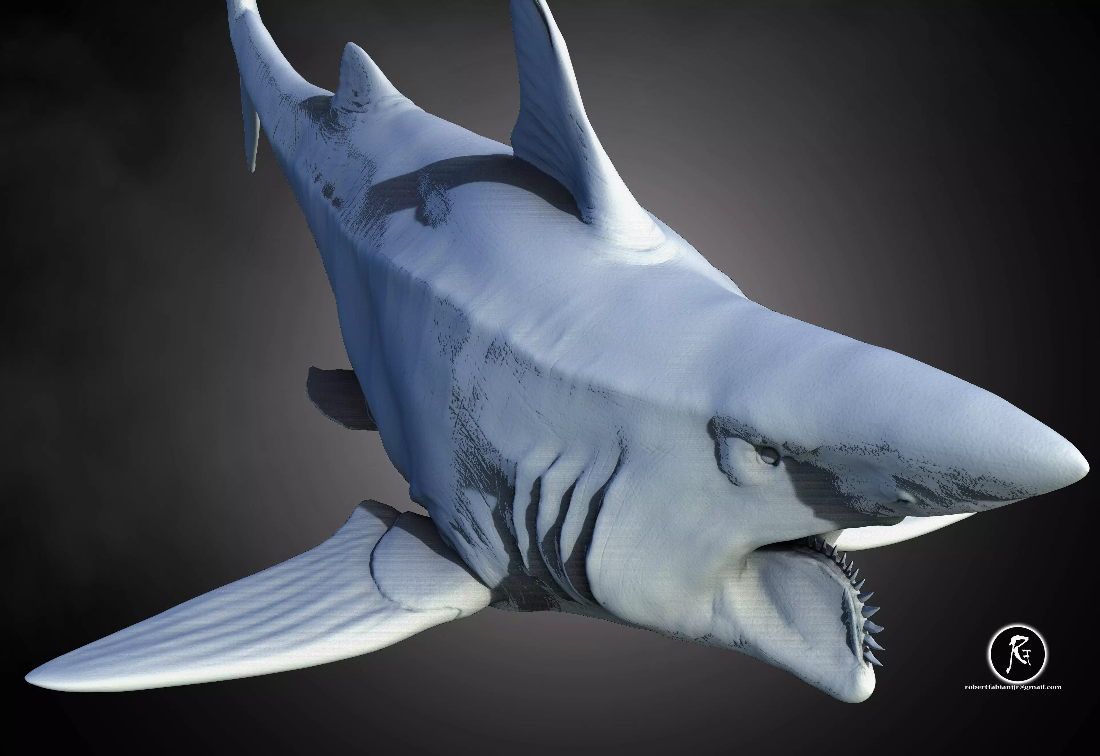 Helicoprion 3D print model_1