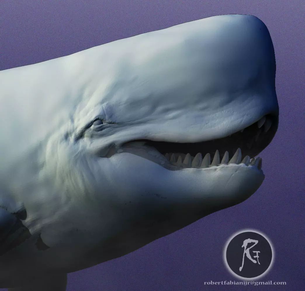 Livyatan 3D print model_0