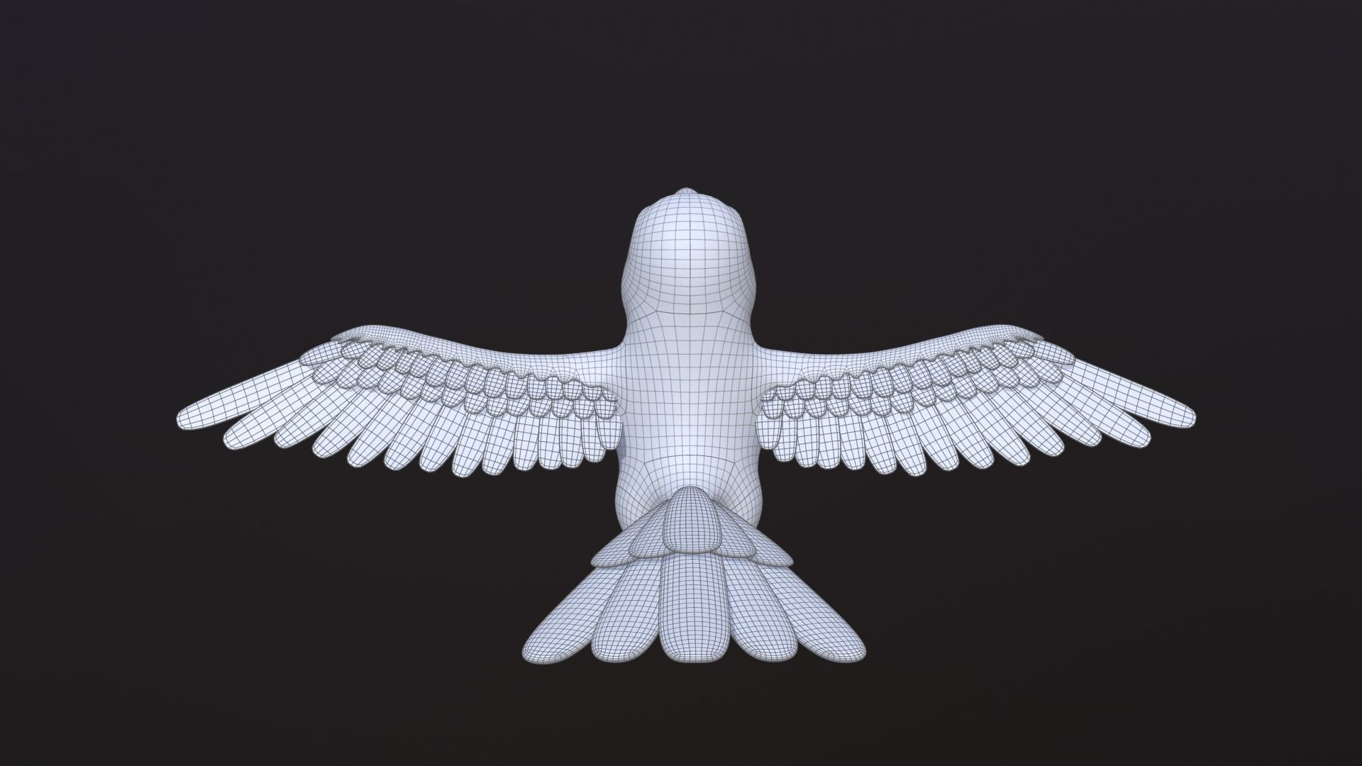 Asset - Cartoons - Animal -Toucan Rigged 3D model  3D model_14