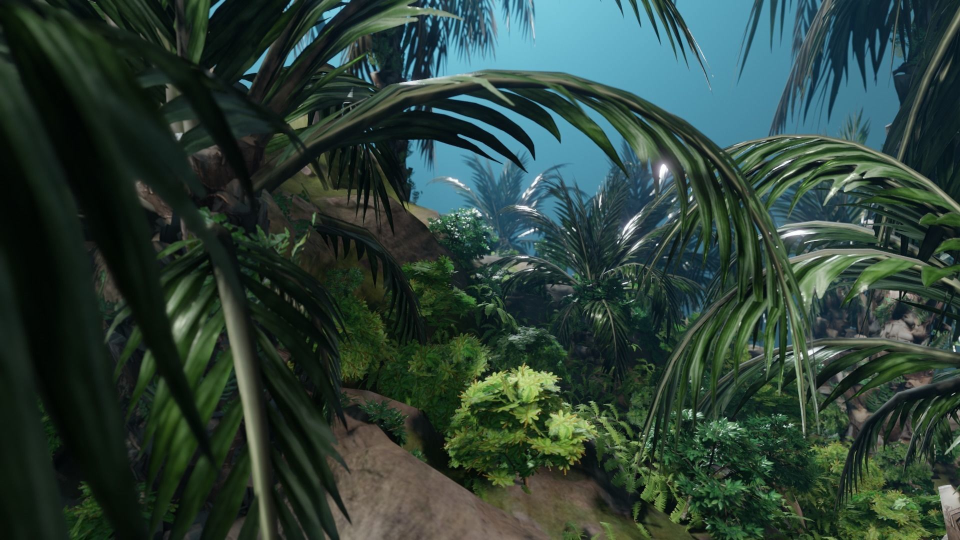 Oil Palm  Forest Tropical plant Low-poly 3D model_5