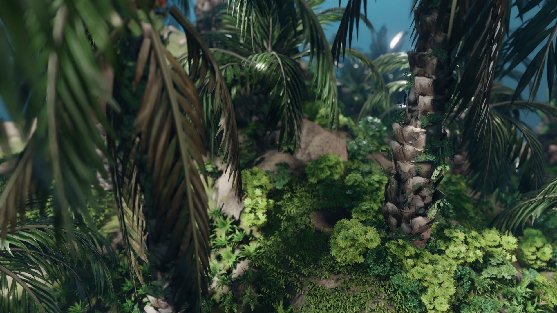 Oil Palm  Forest Tropical plant Low-poly 3D model_8