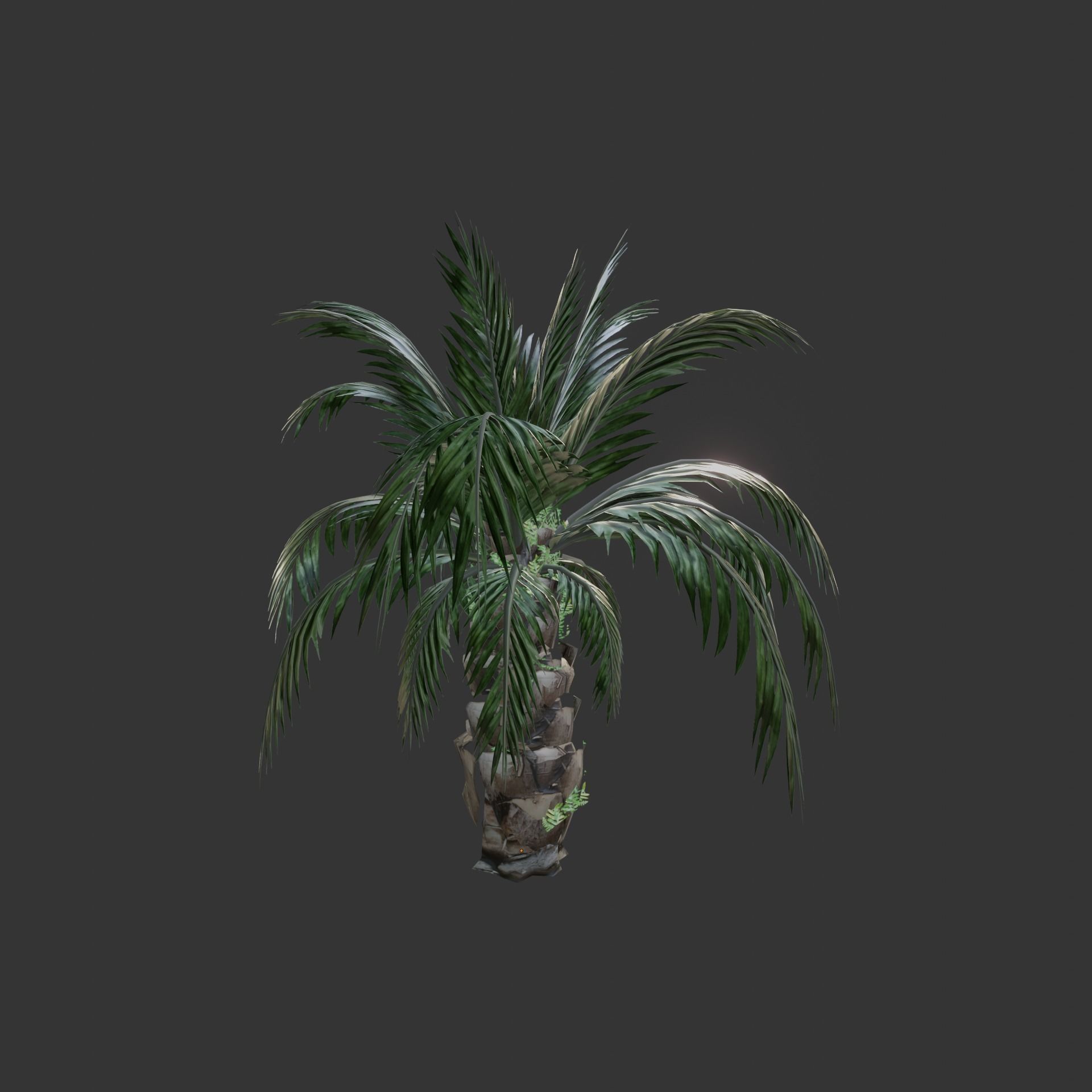 Oil Palm  Forest Tropical plant Low-poly 3D model_14