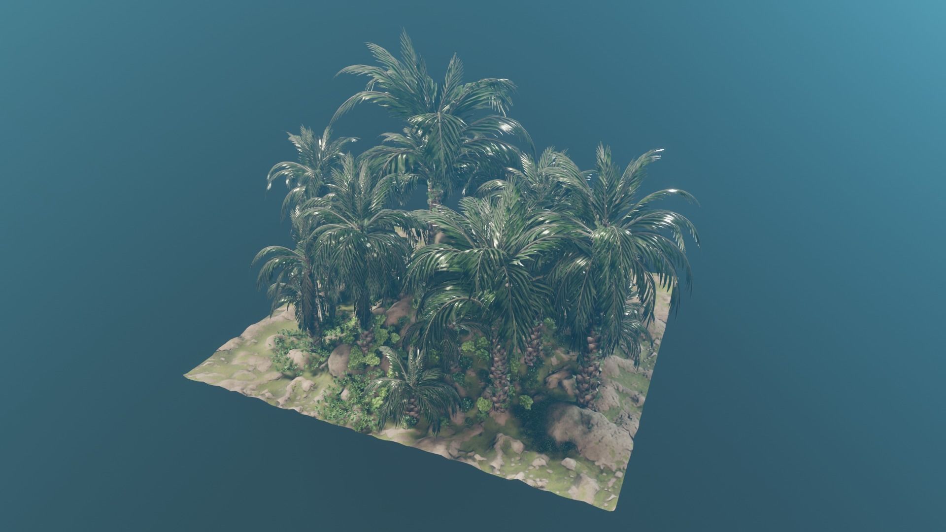 Oil Palm  Forest Tropical plant Low-poly 3D model_7