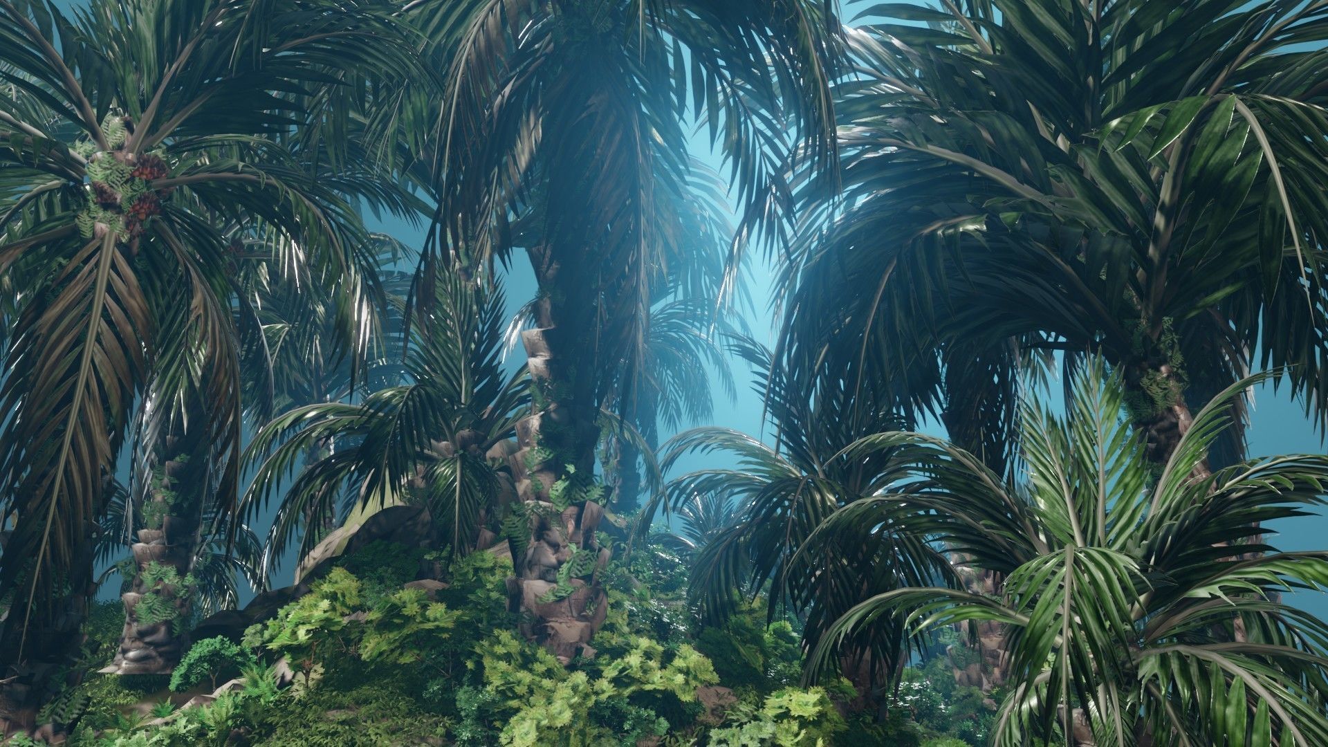 Oil Palm  Forest Tropical plant Low-poly 3D model_1