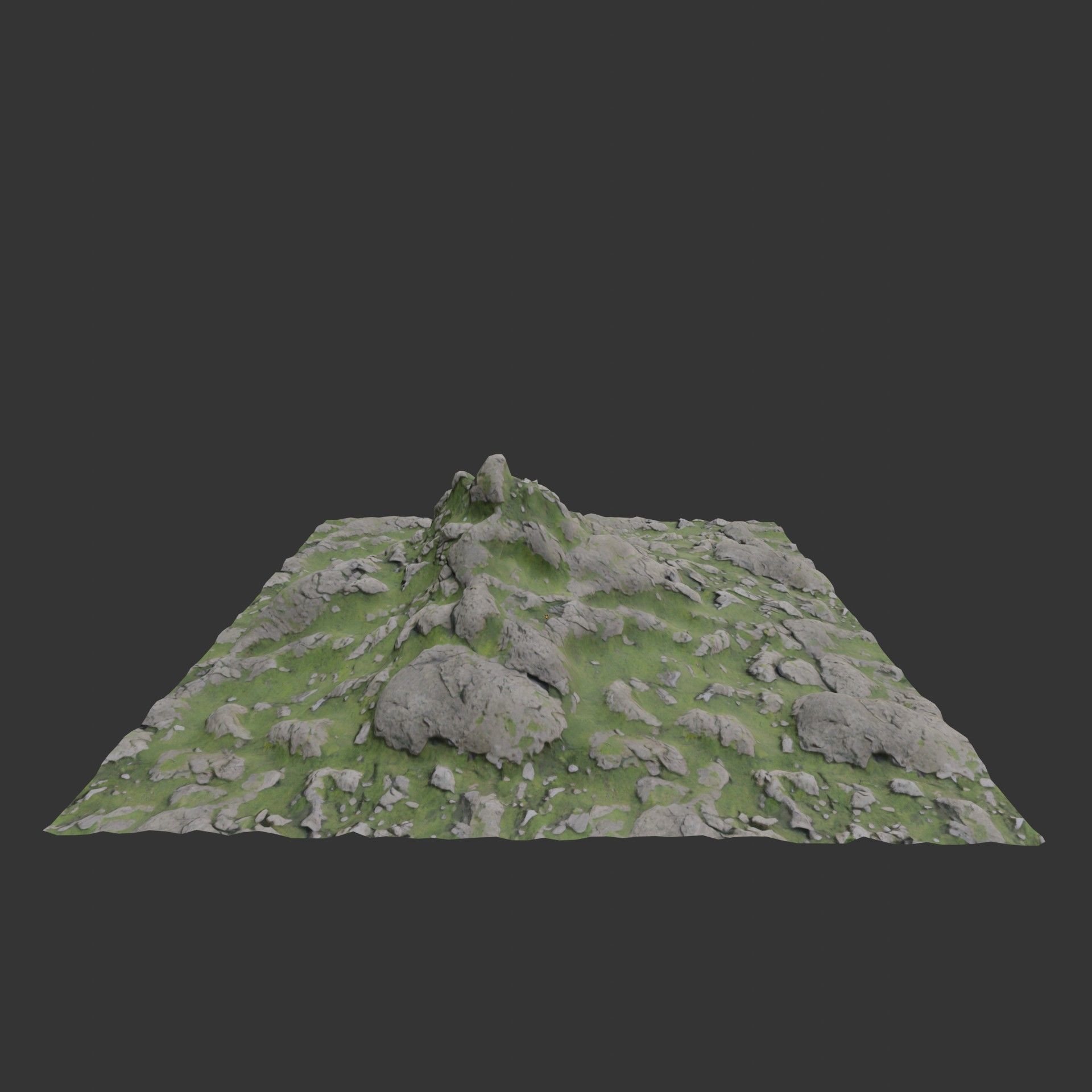 Oil Palm  Forest Tropical plant Low-poly 3D model_15