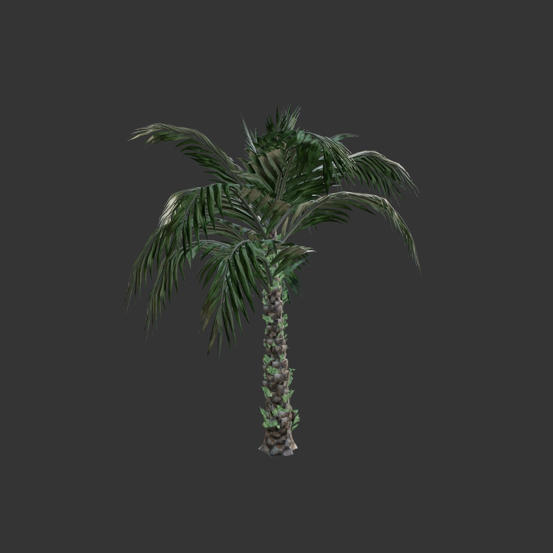 Oil Palm  Forest Tropical plant Low-poly 3D model_9