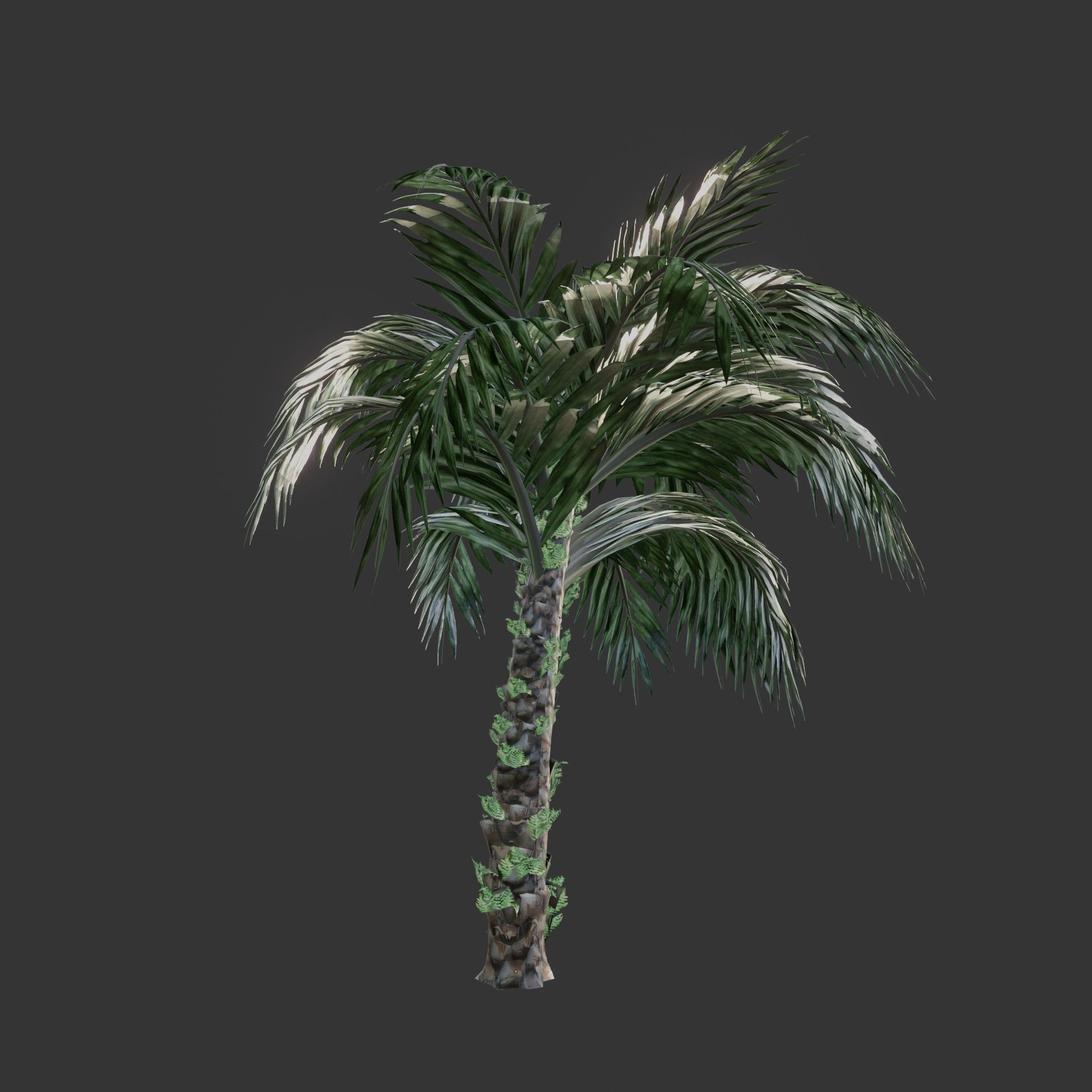 Oil Palm  Forest Tropical plant Low-poly 3D model_12