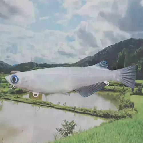 Custom Madeka Bait 3D print model