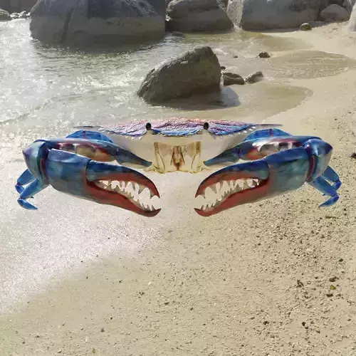 Blue Crab 3D print model