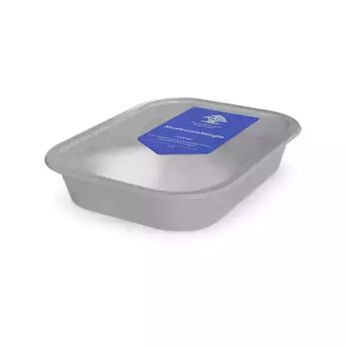 Dried mushrooms Dried Oyster Mushrooms