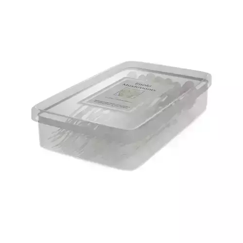 Dried mushrooms Dried Enoki Mushrooms