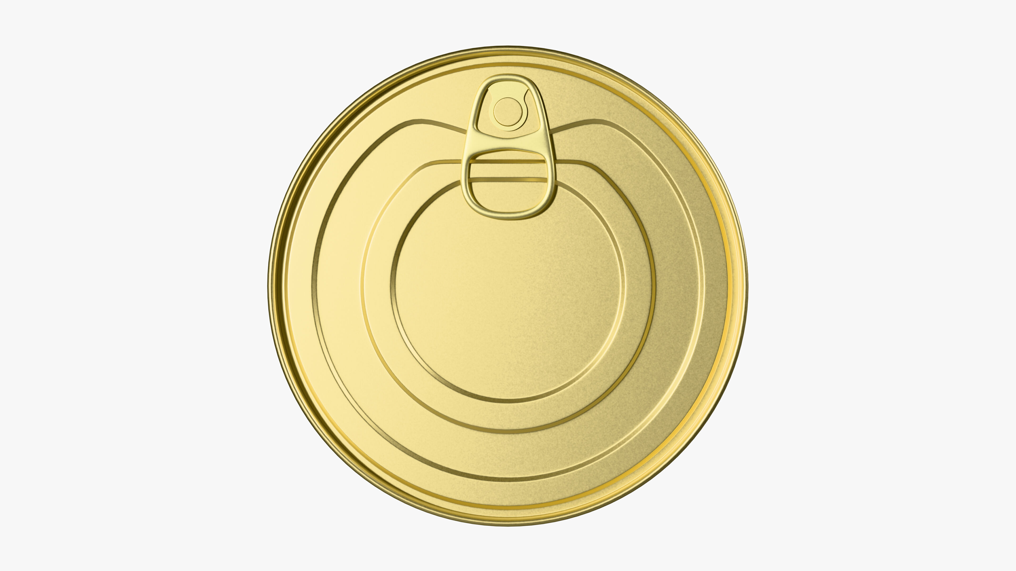 Other preserved vegetables and mixtures Canned Sliced Carrots 3D model_1