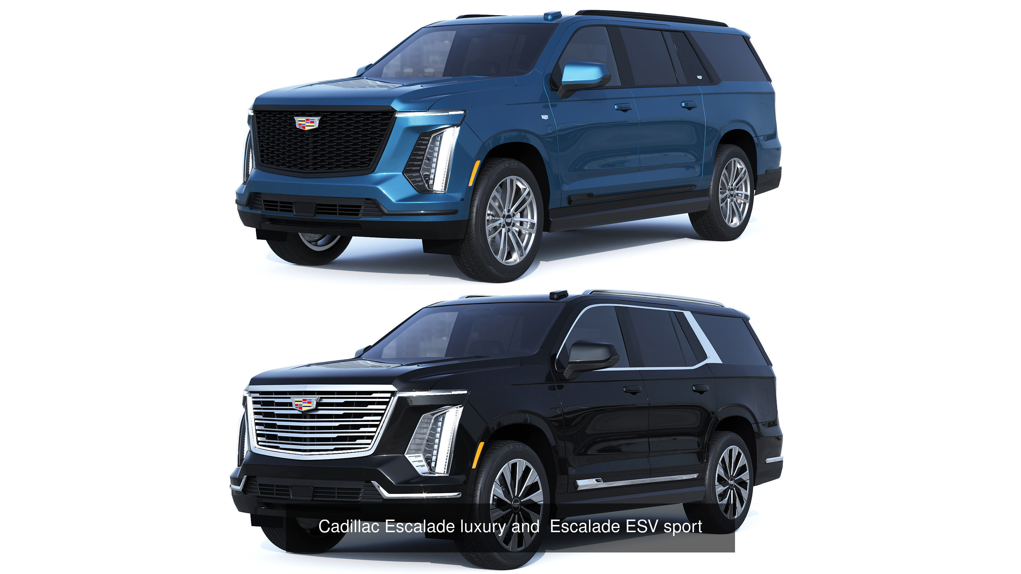 Cadillac Collection _3