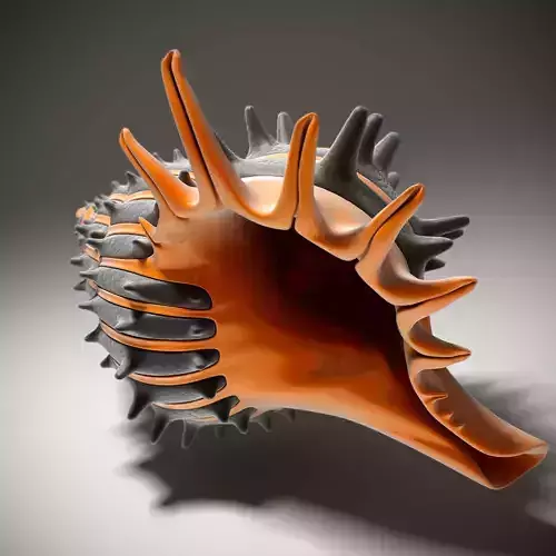 Shell orange and sea