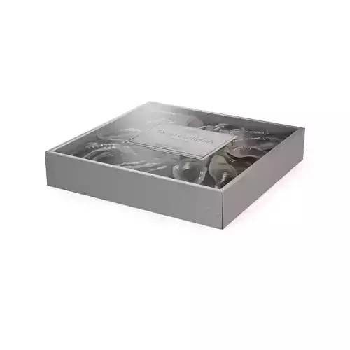 Dried fish and seafood Dried Cuttlefish