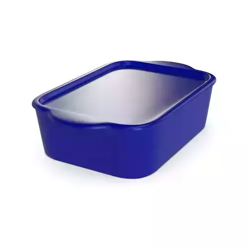 Herrings and herring products Herring in Mustard Sauce