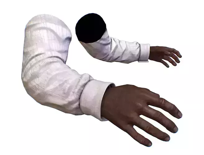 First Person Arms shirt FPS RIGGED animated Low-poly 3D model