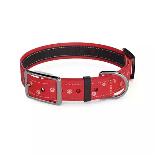Animal accessories Pet Collar